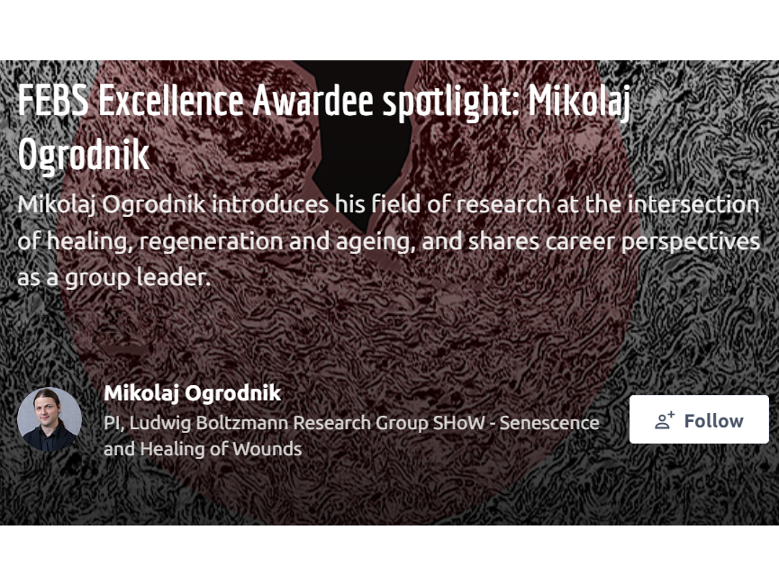 FEBS Excellence Award für Dr. Mikolaj Ogrodnik 